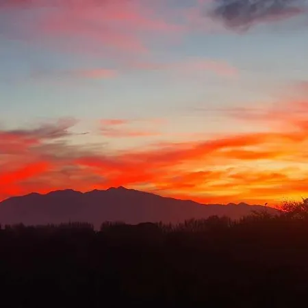 Trois Au Sein Du Mas Jams - Le Gouleyrous, Le Canigou Et Le Figarassa