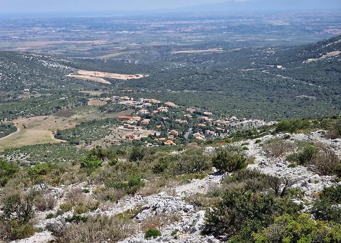Trois Au Sein Du Mas Jams - Le Gouleyrous, Le Canigou Et Le Figarassa