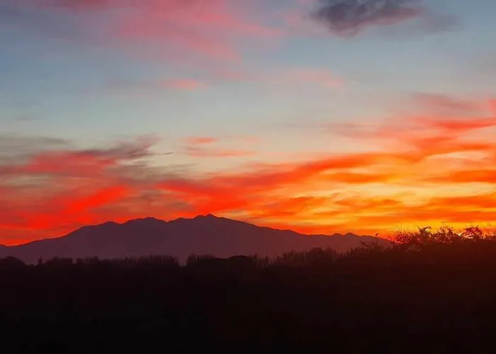 Trois Au Sein Du Mas Jams - Le Gouleyrous, Le Canigou Et Le Figarassa